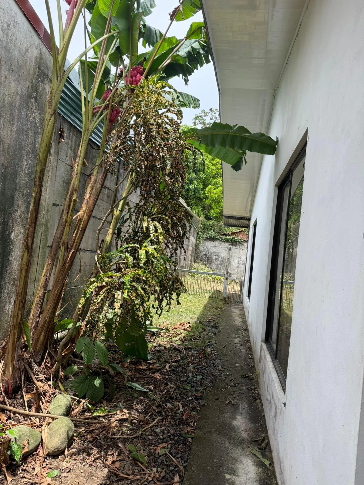 Casa en Pococí Limón