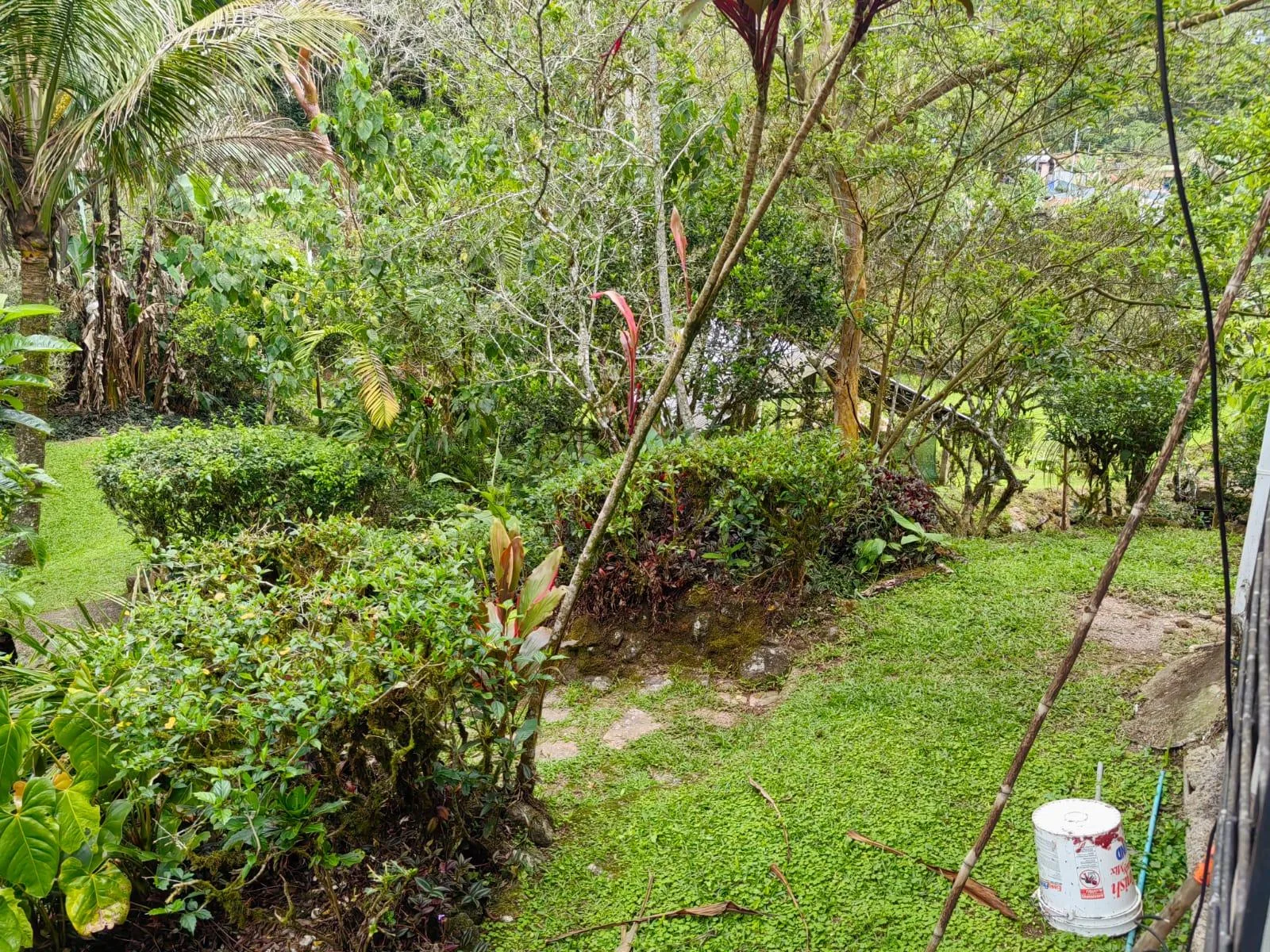 Casa y dos apartamentos Santa Rosa Turrialba