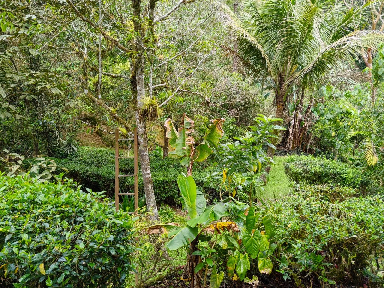 Casa y dos apartamentos Santa Rosa Turrialba