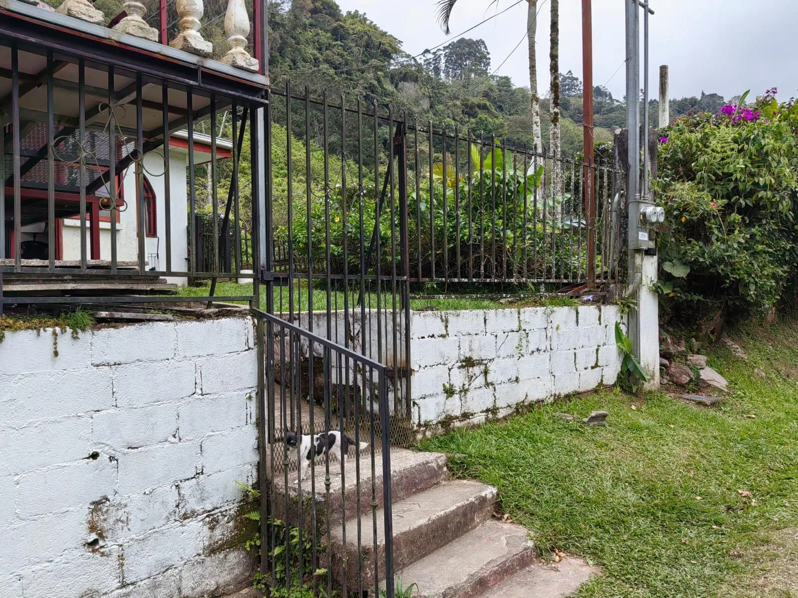 Casa y dos apartamentos Santa Rosa Turrialba
