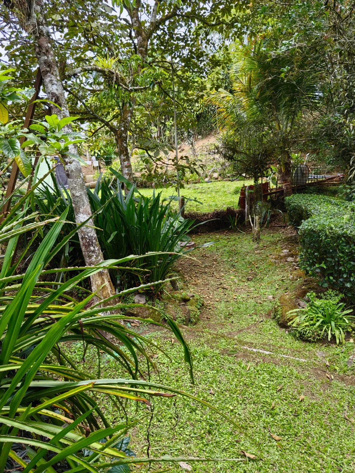 Casa y dos apartamentos Santa Rosa Turrialba