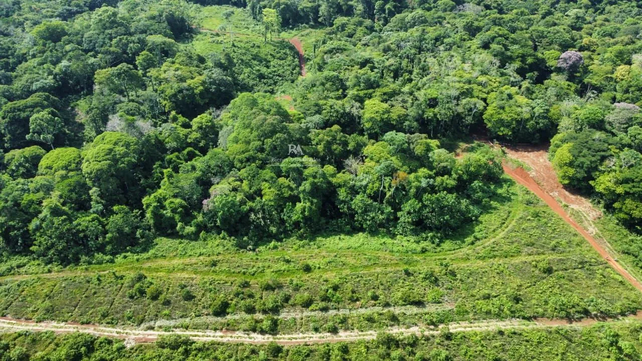 Finca en Cutris San Carlos 2