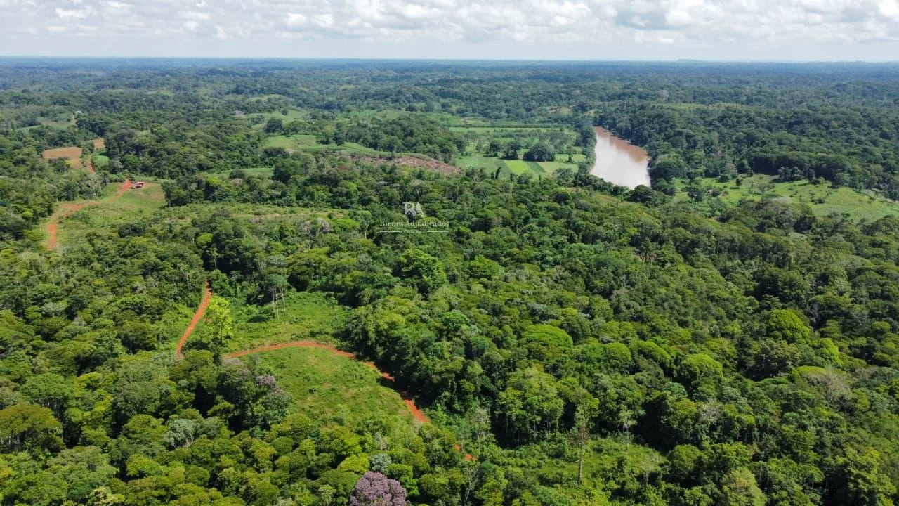 Finca en Cutris San Carlos 2