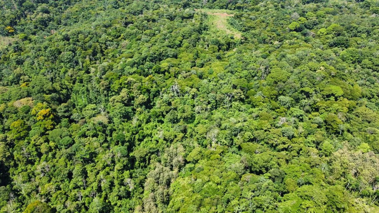Finca en Cutris San Carlos 2