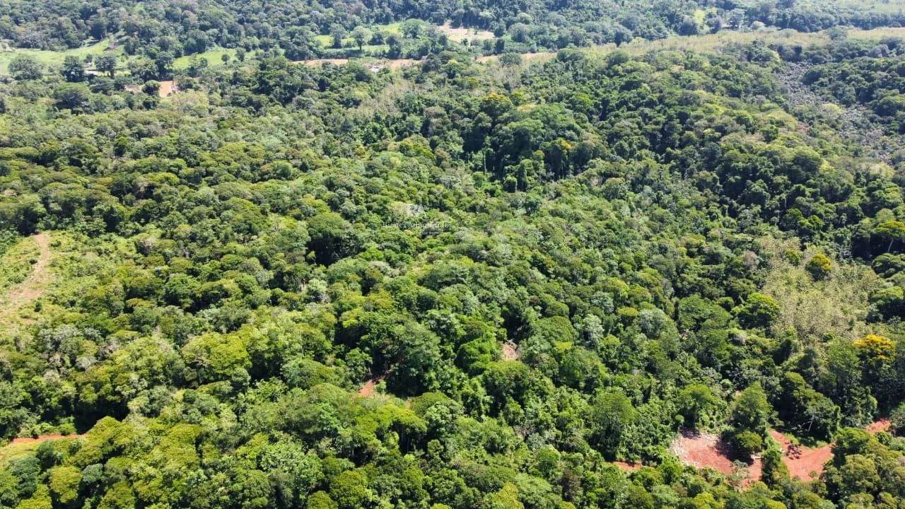 Finca en Cutris San Carlos 2