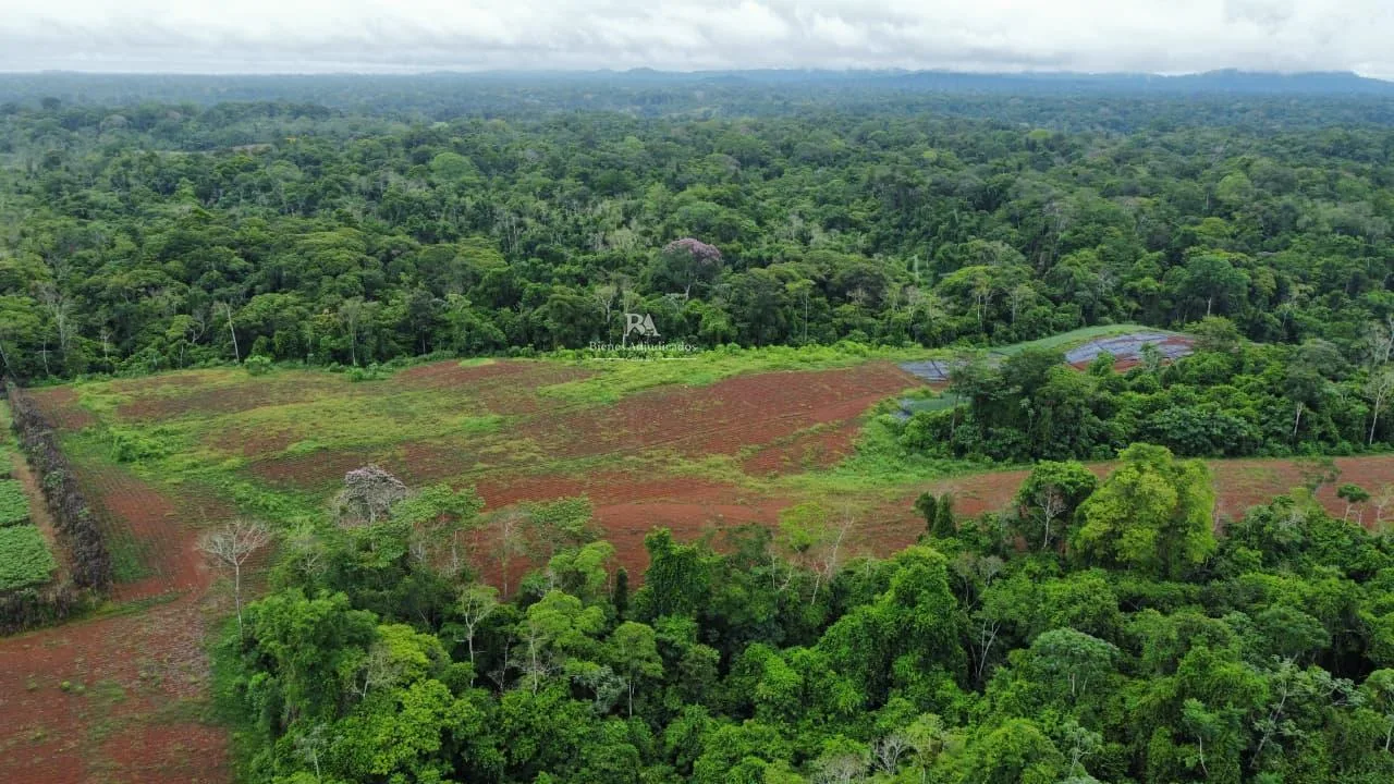 Finca en Cutris San Carlos