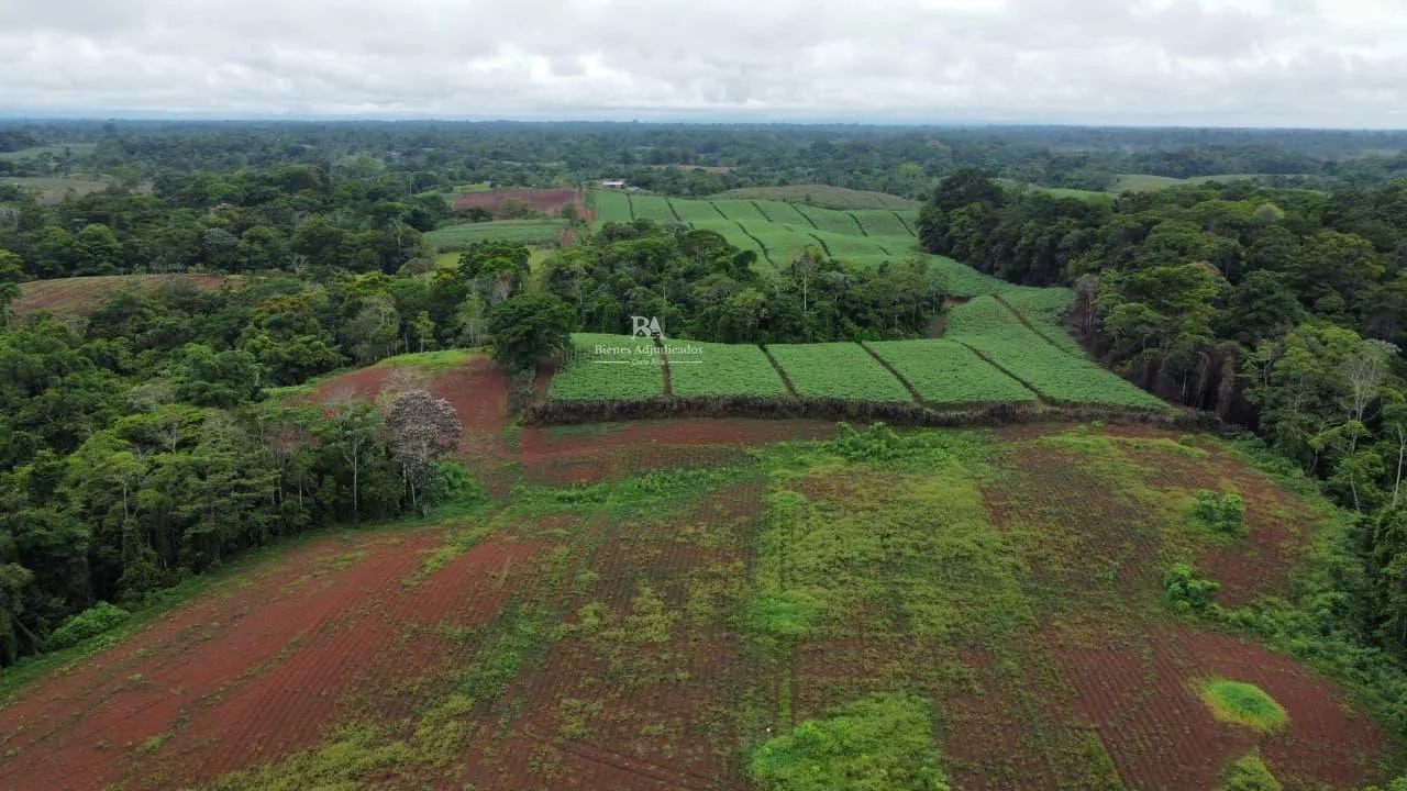 Finca en Cutris San Carlos