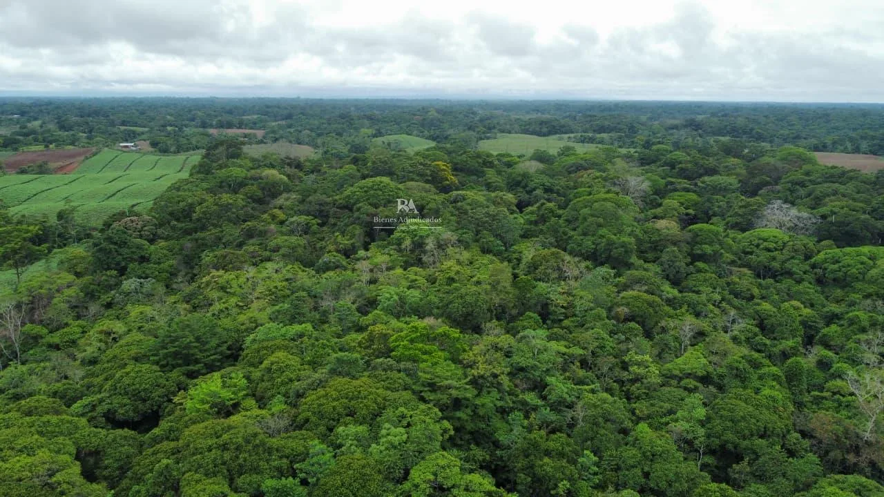 Finca en Cutris San Carlos