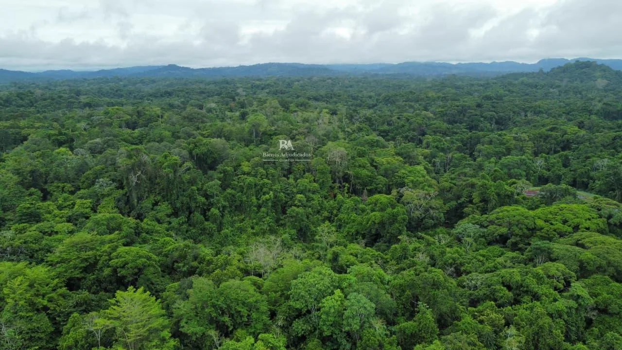 Finca en Cutris San Carlos