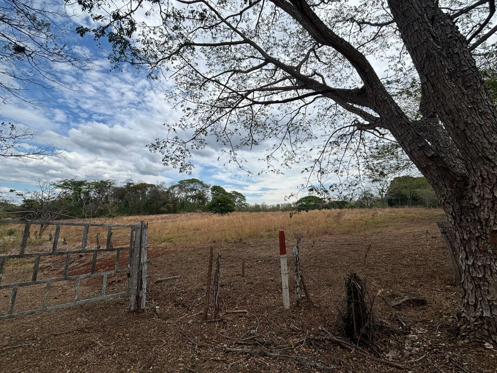 Finca en La Ceiba de Orotina