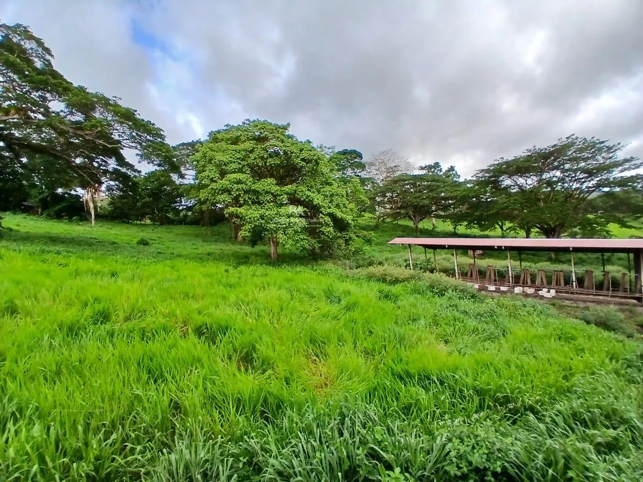 Finca en la Garita de la Cruz Guanacaste