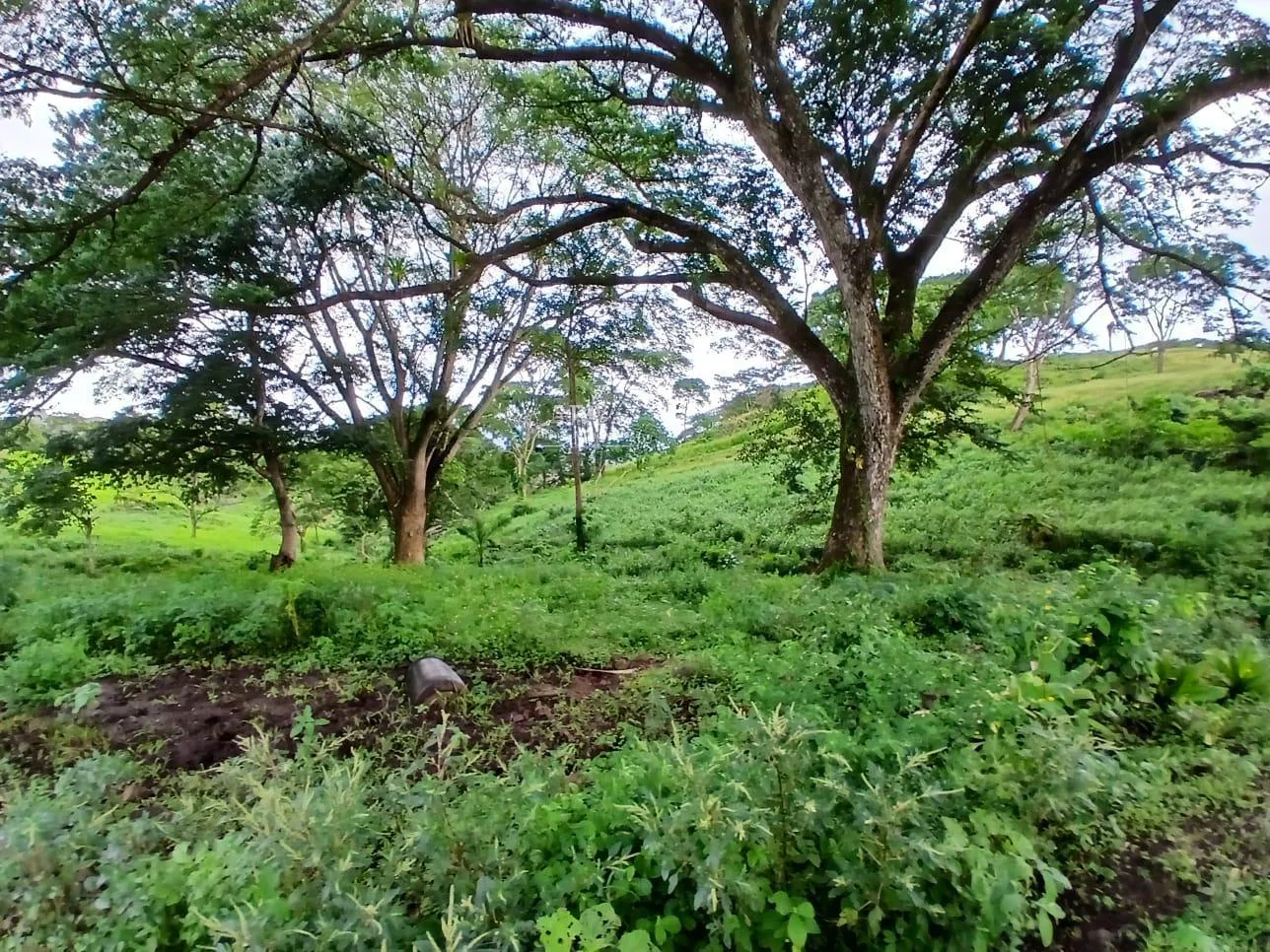 Finca en la Garita de la Cruz Guanacaste