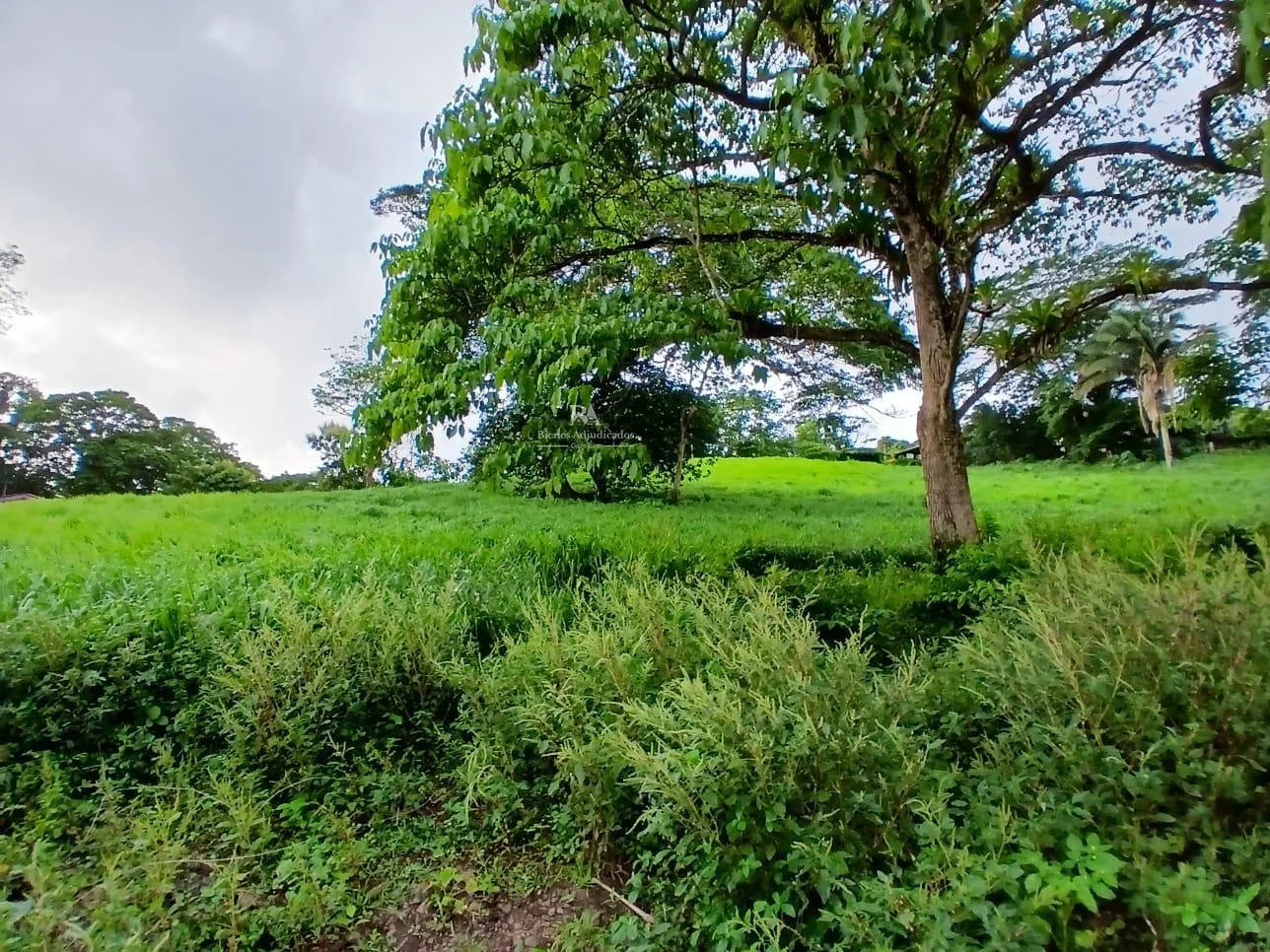 Finca en la Garita de la Cruz Guanacaste