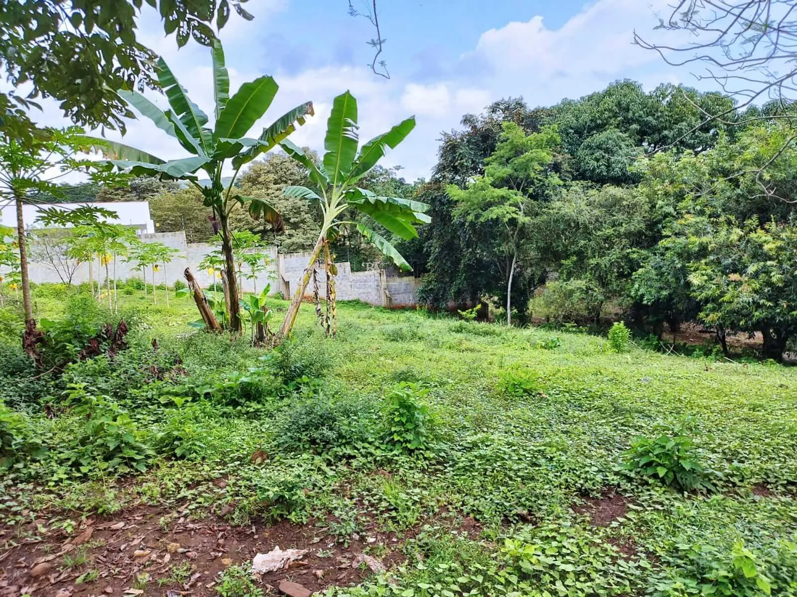 Finca en Montes de Oro Puntarenas