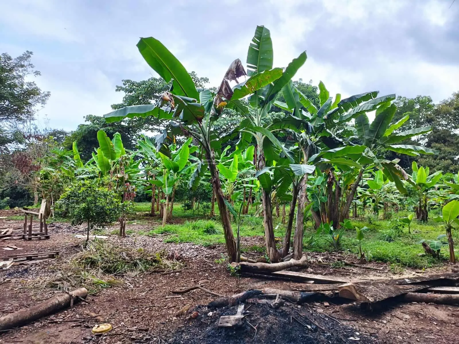 Finca en Montes de Oro Puntarenas