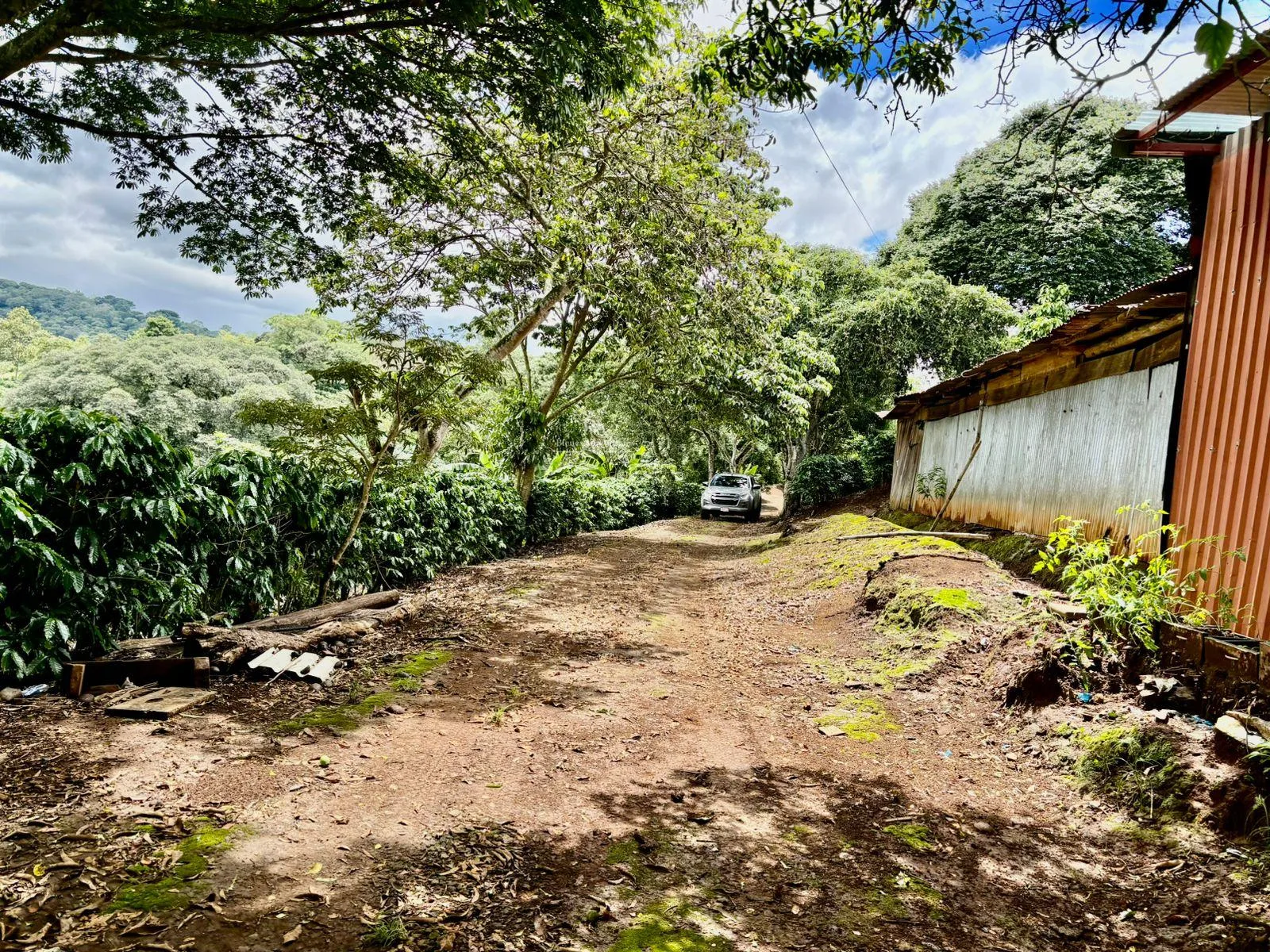 Finca en Naranjo Alajuela