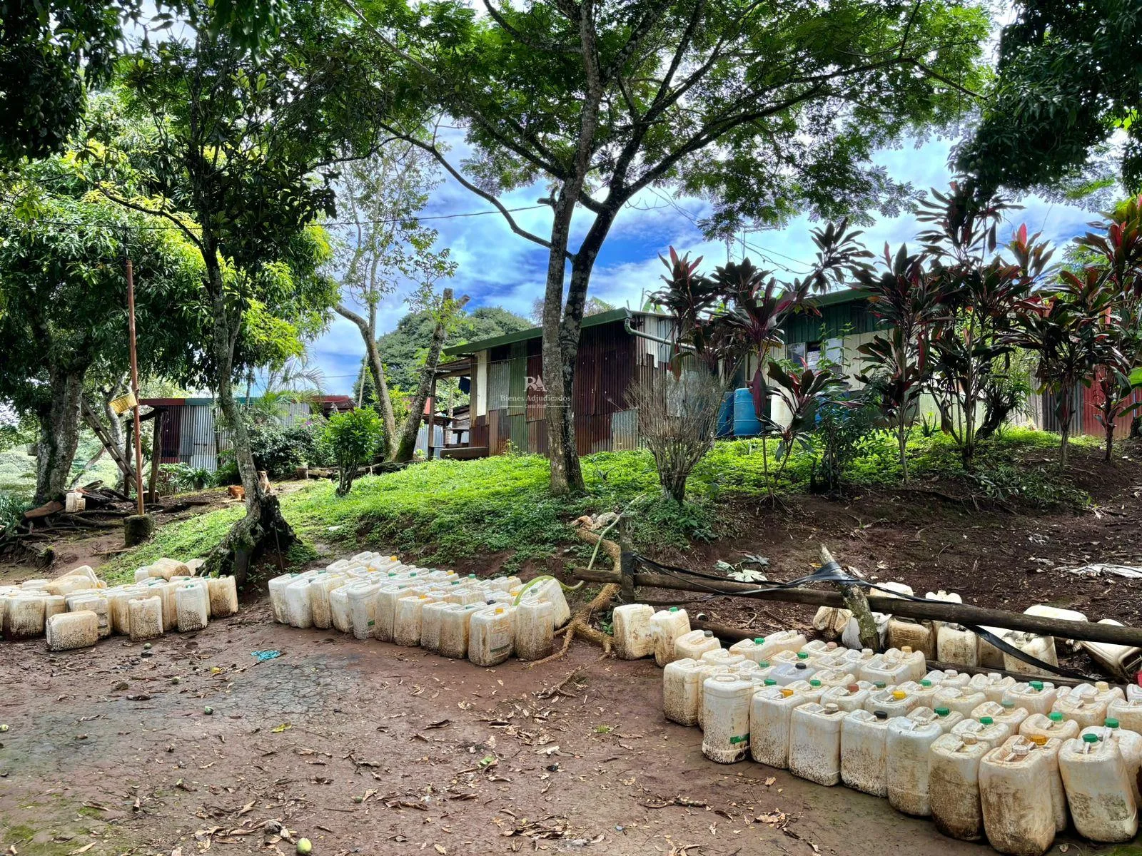 Finca en Naranjo Alajuela