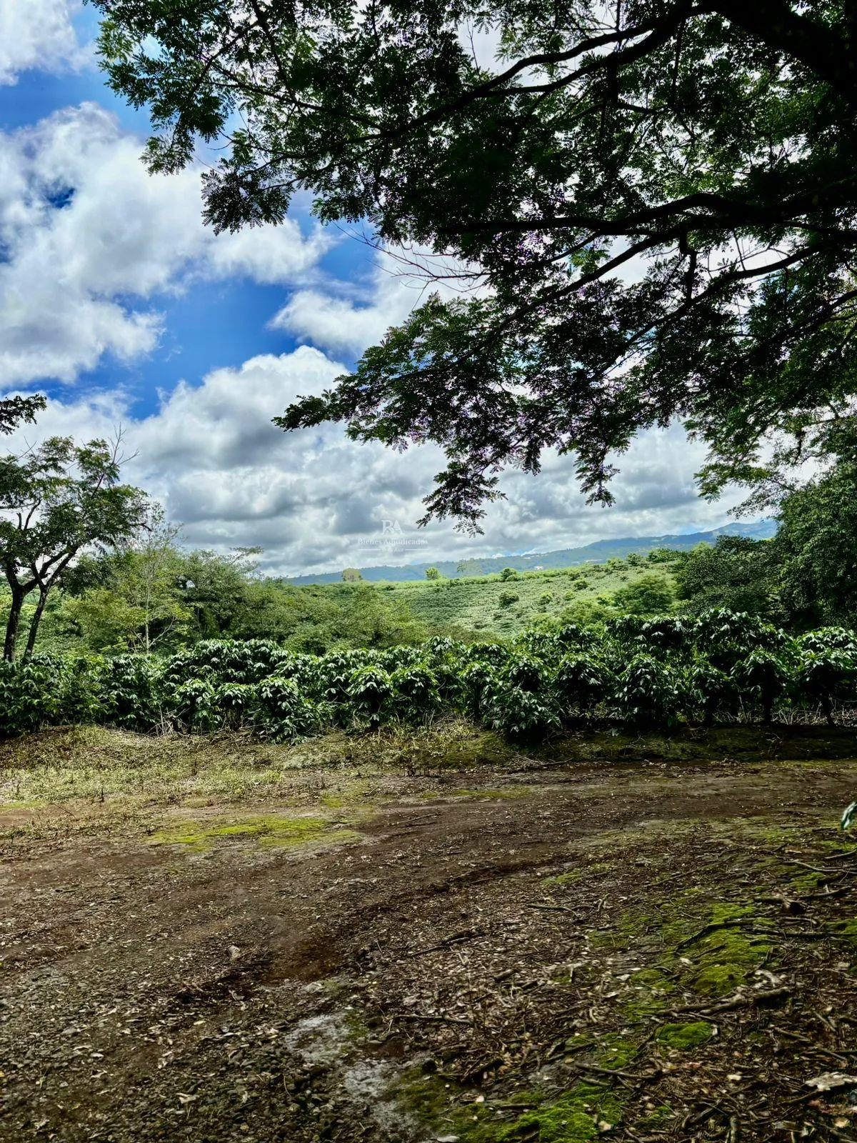 Finca en Naranjo Alajuela