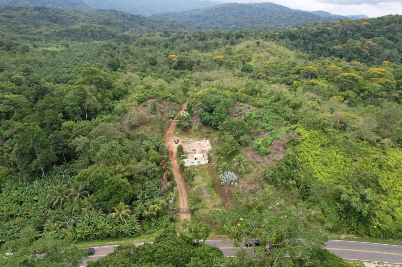 Finca en Osa Puntarenas