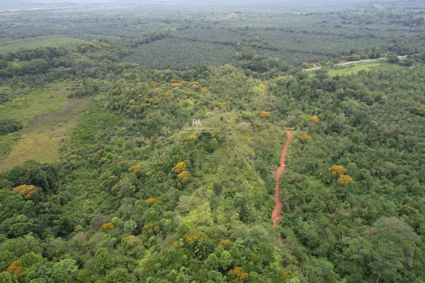 Finca en Osa Puntarenas