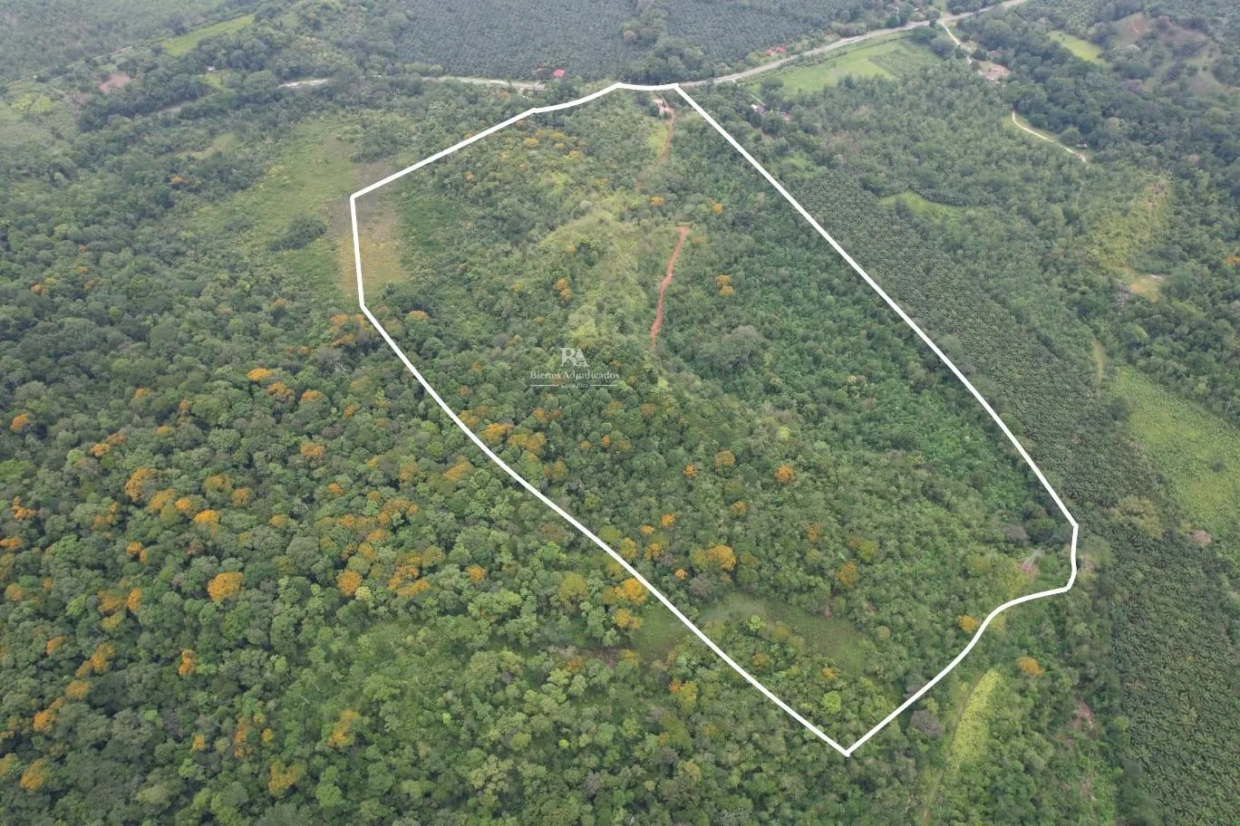 Finca en Osa Puntarenas