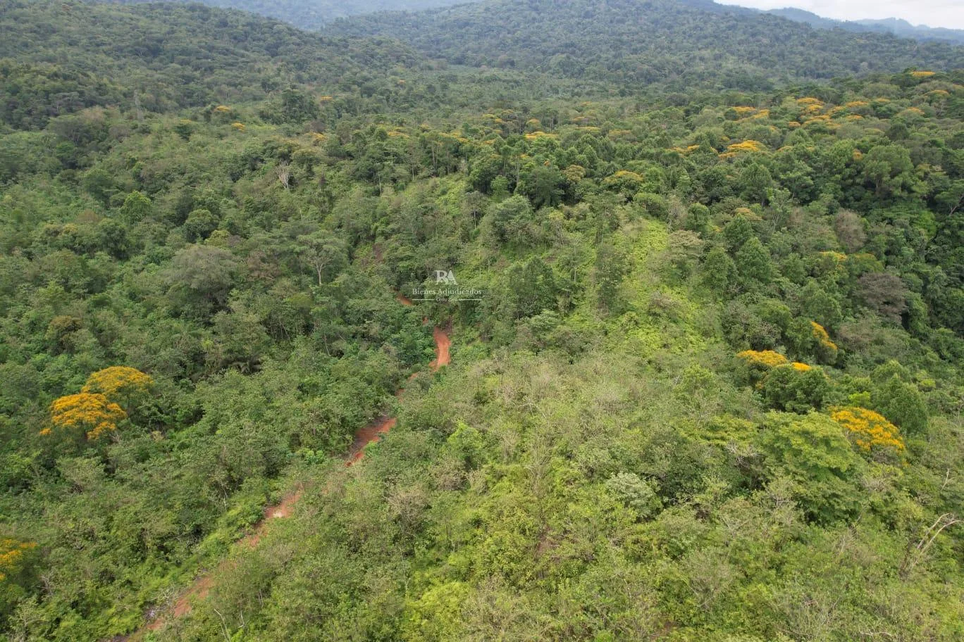 Finca en Osa Puntarenas