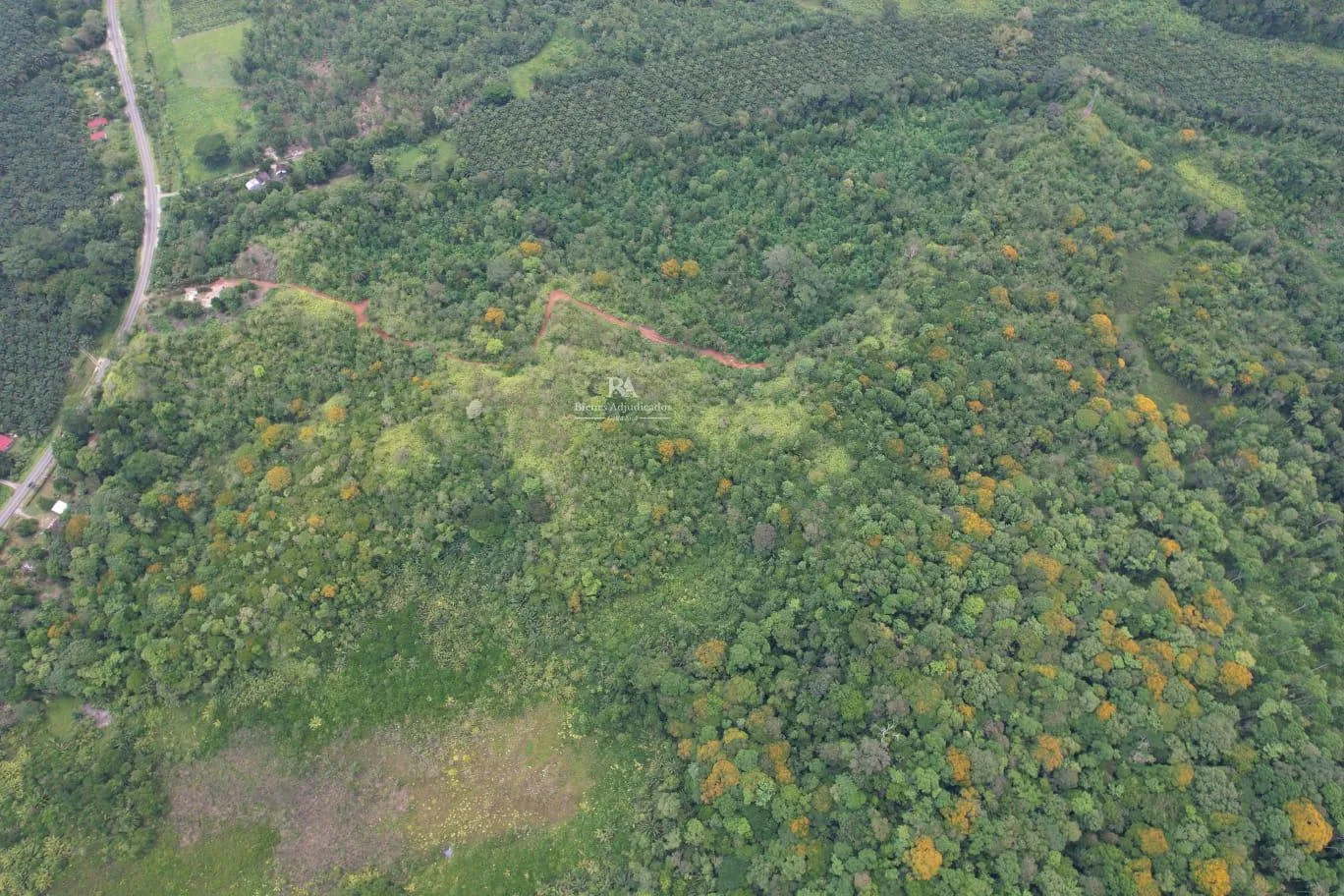 Finca en Osa Puntarenas