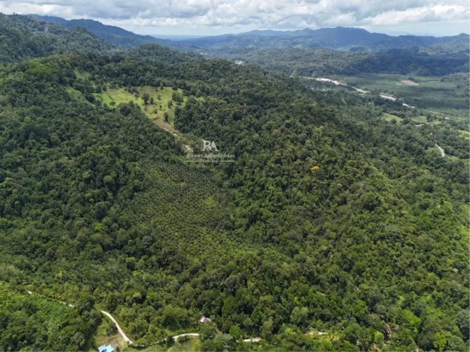 Finca en Puntarenas