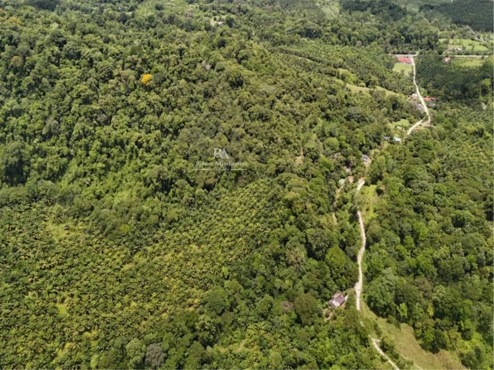 Finca en Puntarenas