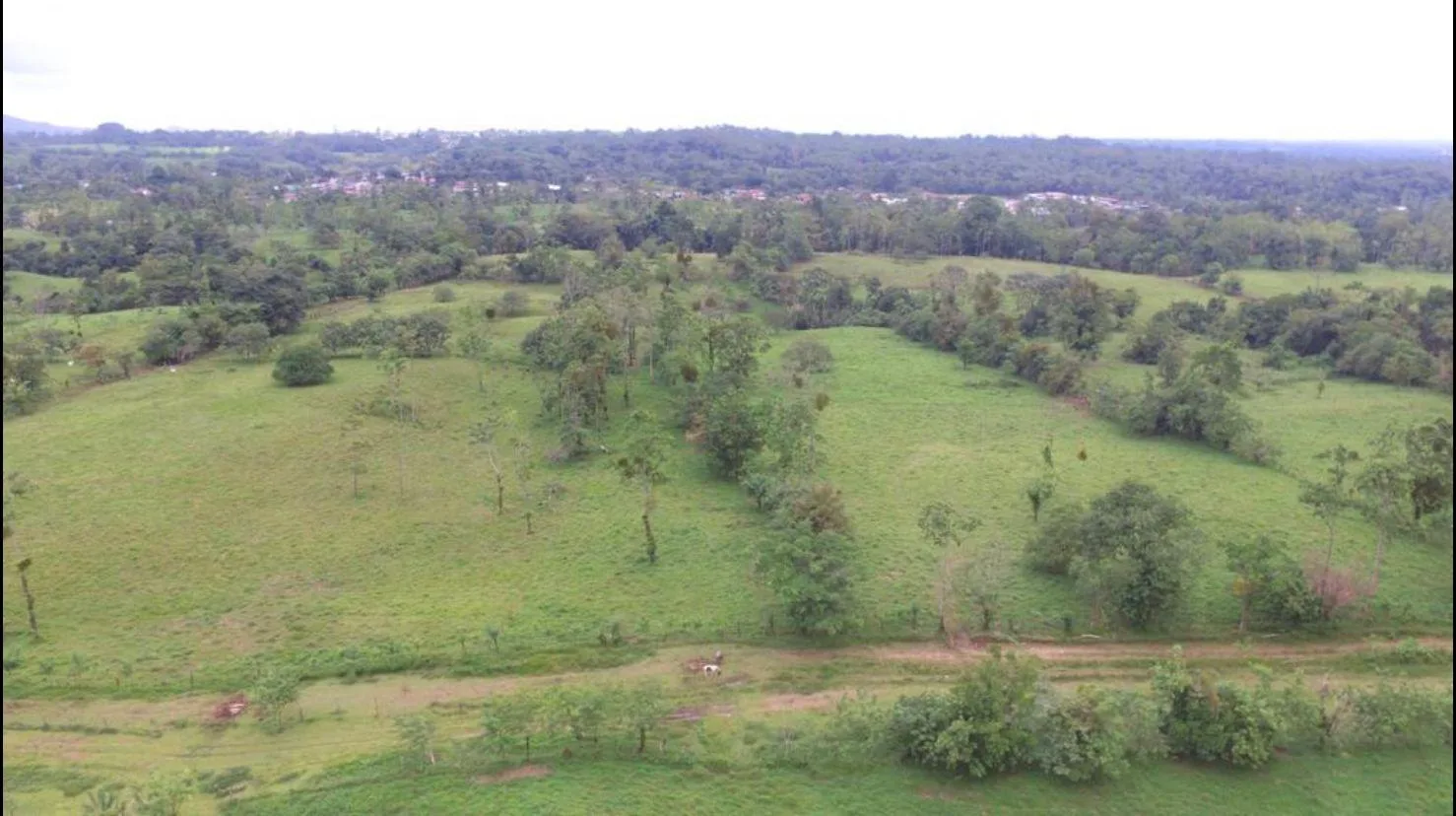 Finca en Río Cuarto Alajuela