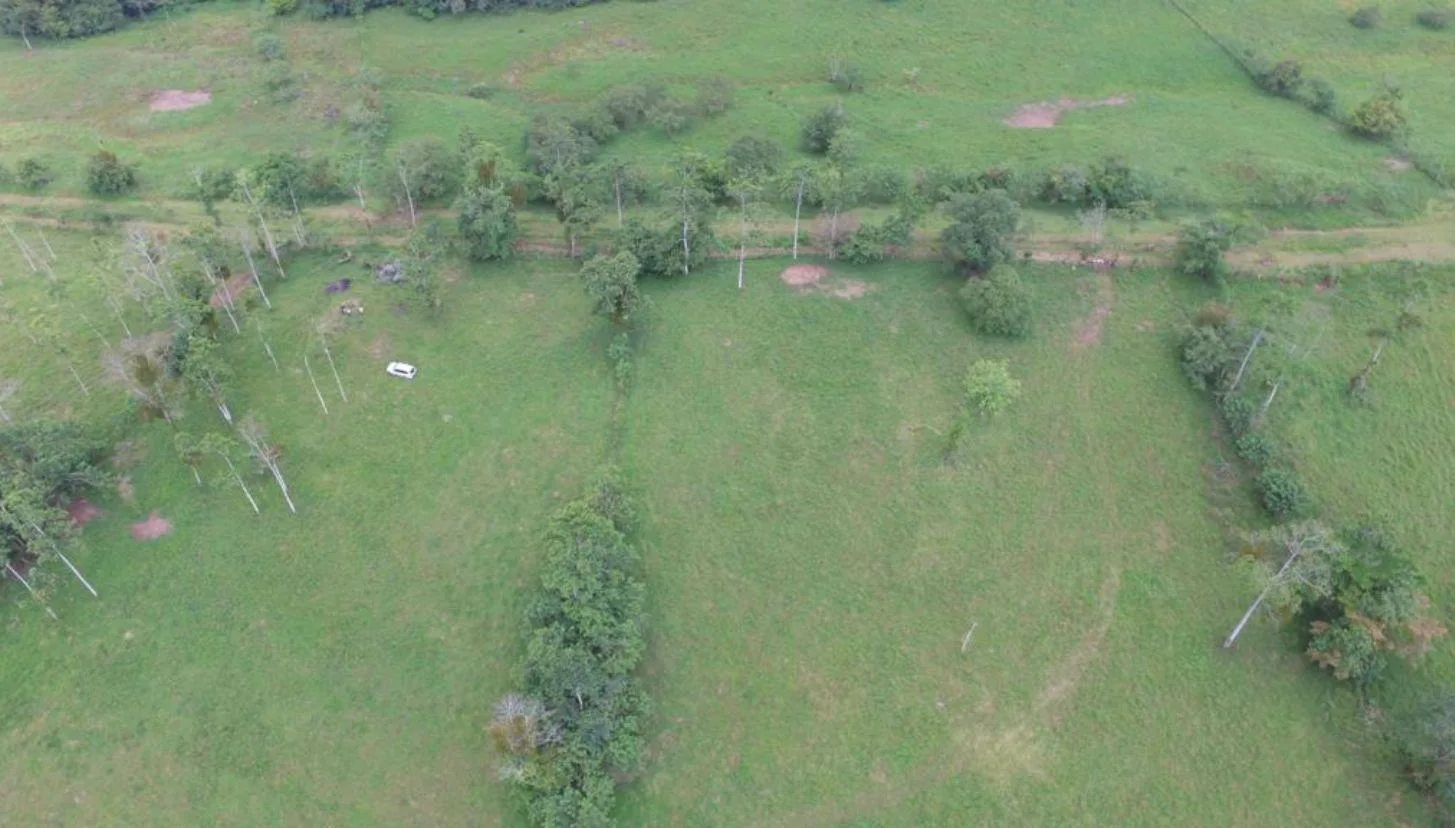 Finca en Río Cuarto Alajuela