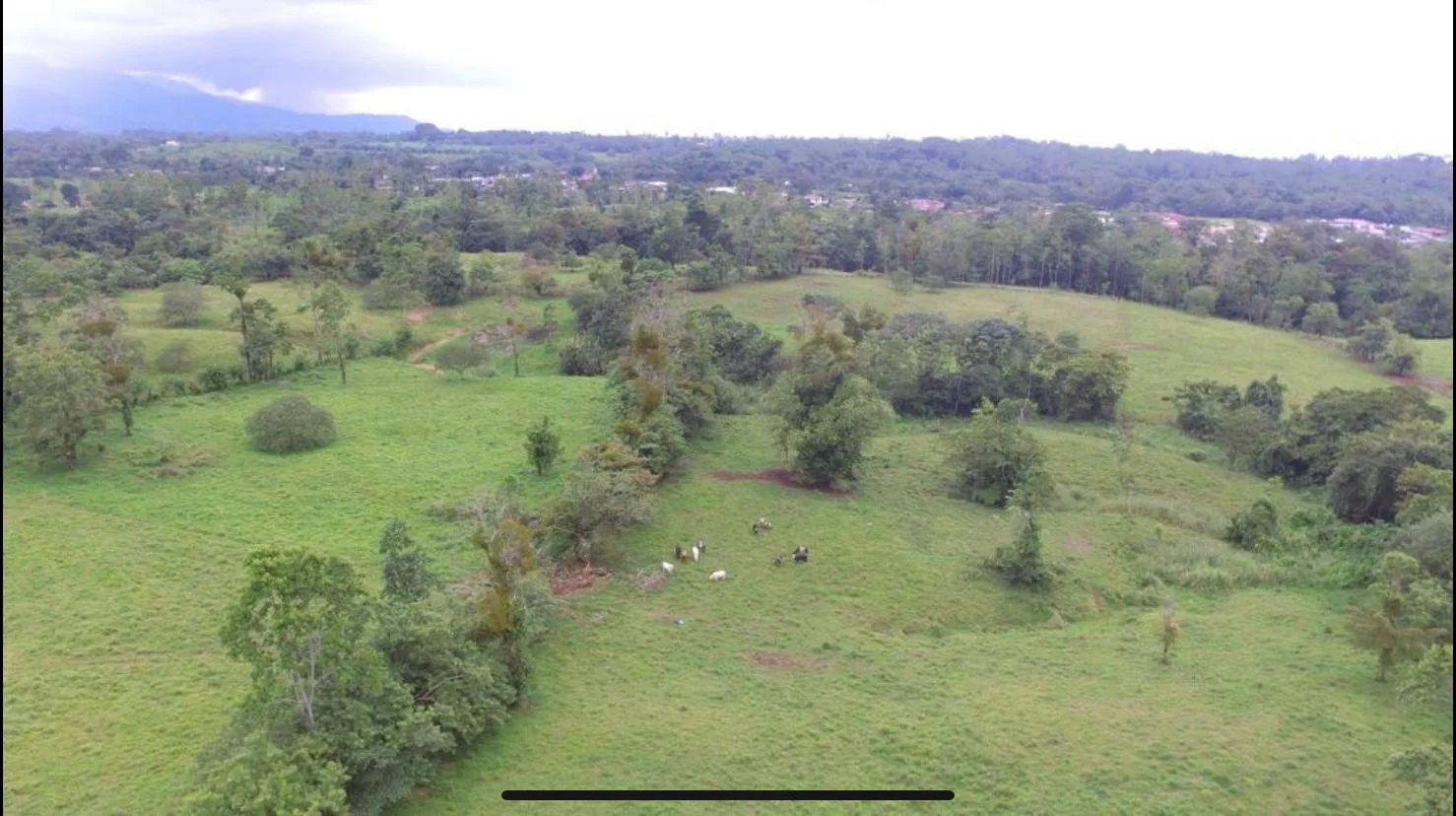 Finca en Río Cuarto Alajuela