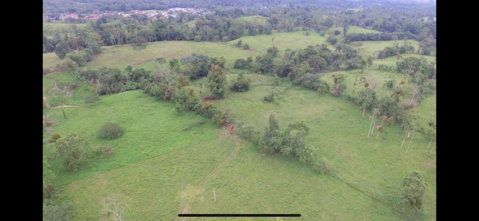 Finca en Río Cuarto Alajuela