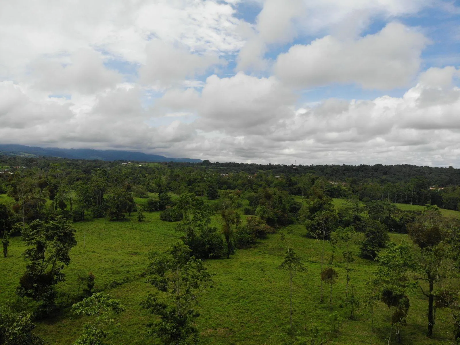Finca en Río Cuarto Alajuela