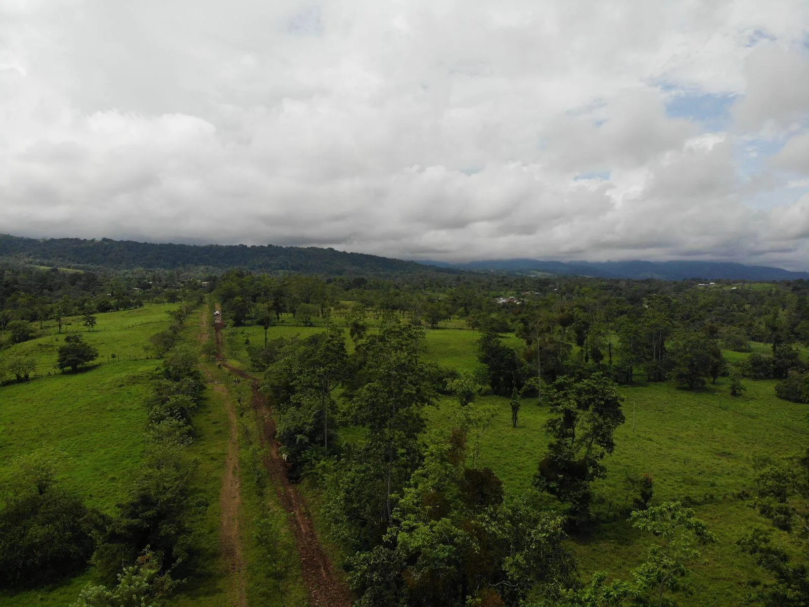 Finca en Río Cuarto Alajuela