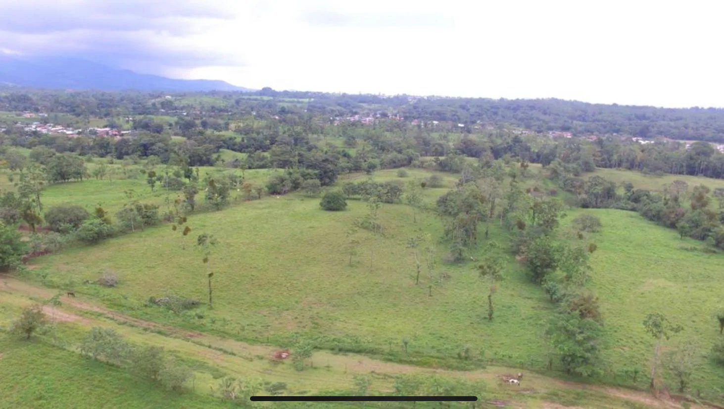 Finca en Río Cuarto Alajuela