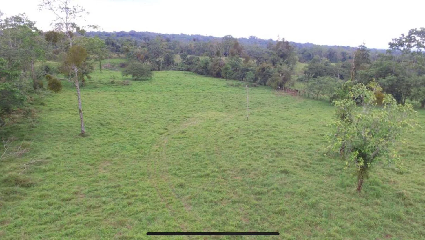 Finca en Río Cuarto Alajuela