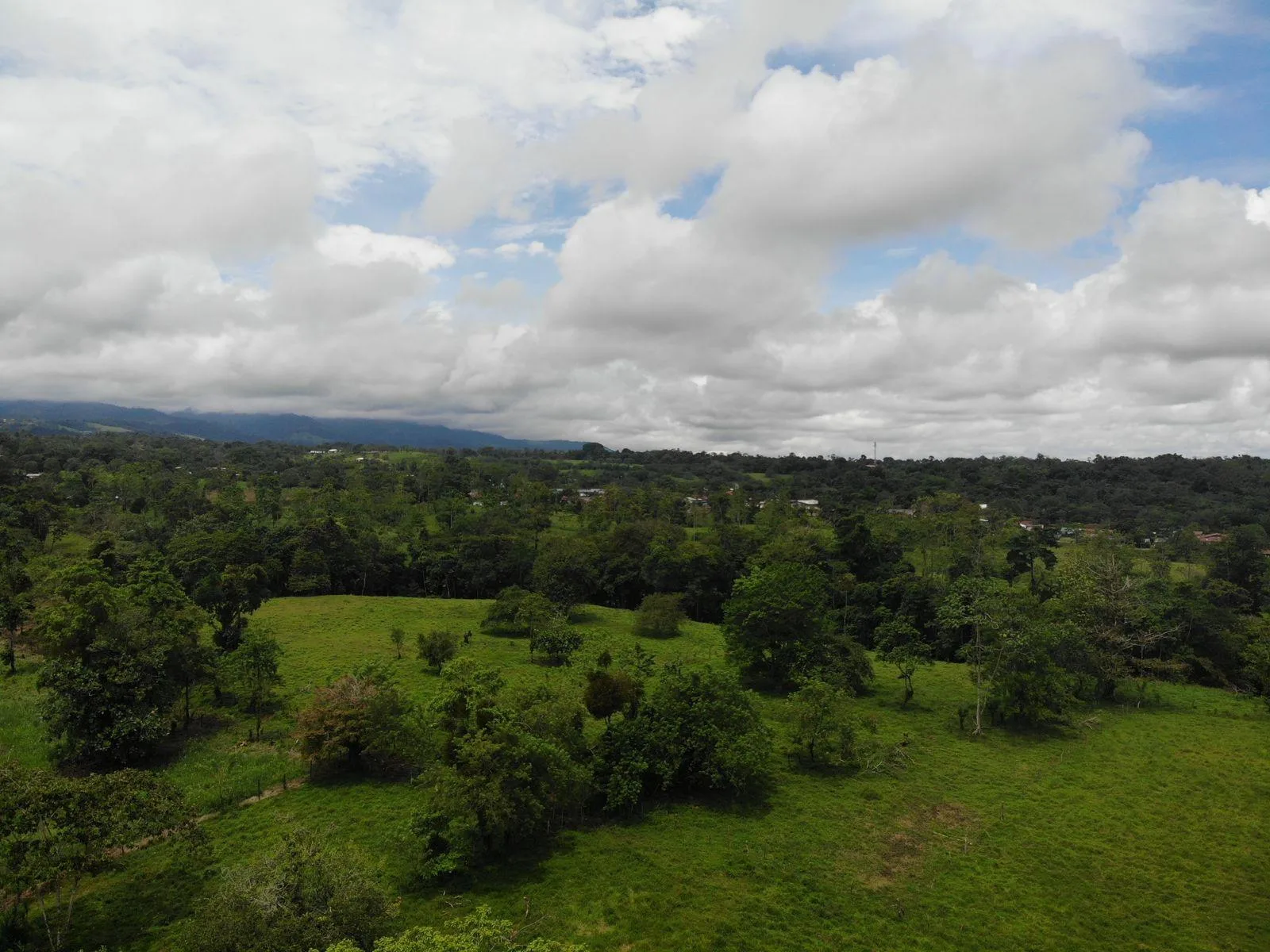 Finca en Río Cuarto Alajuela