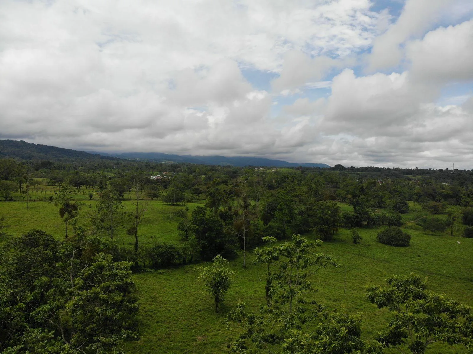 Finca en Río Cuarto Alajuela