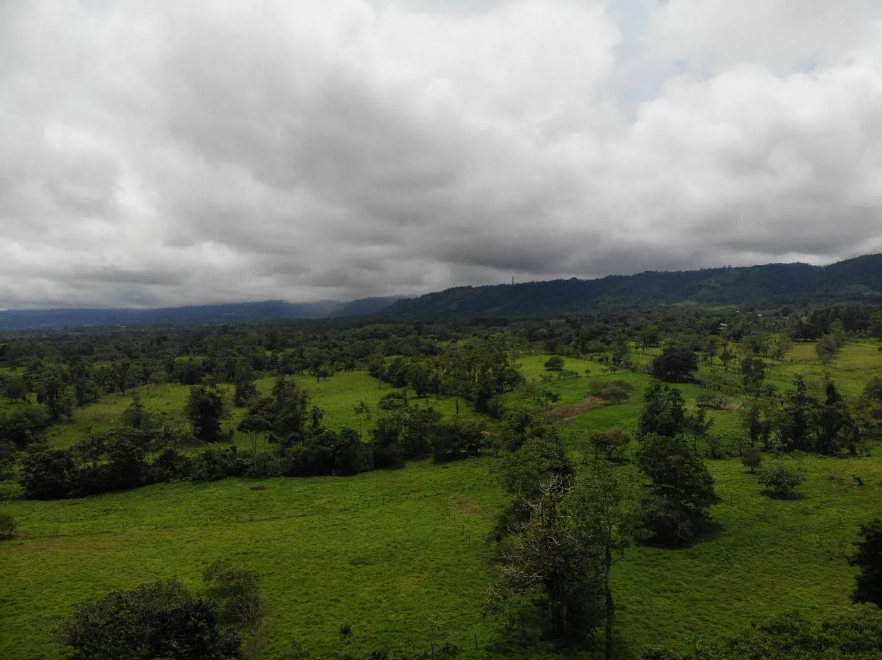 Finca en Río Cuarto Alajuela