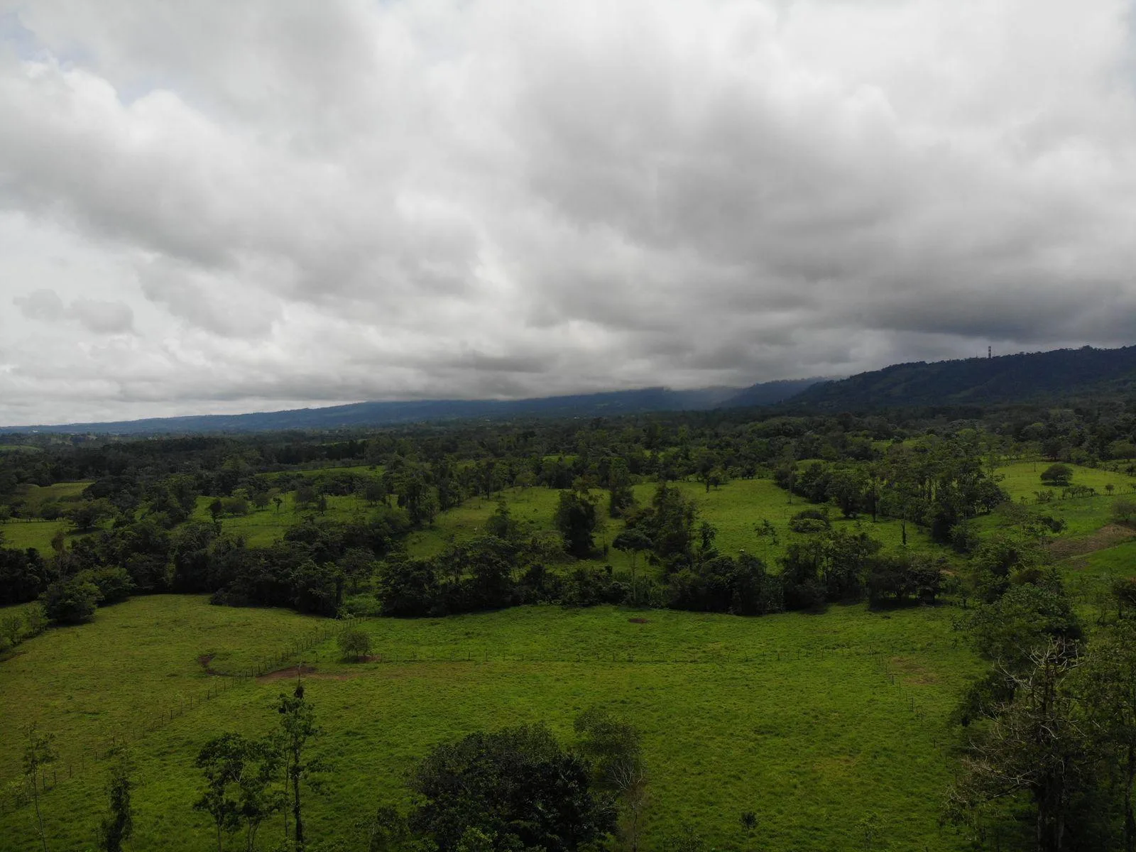 Finca en Río Cuarto Alajuela