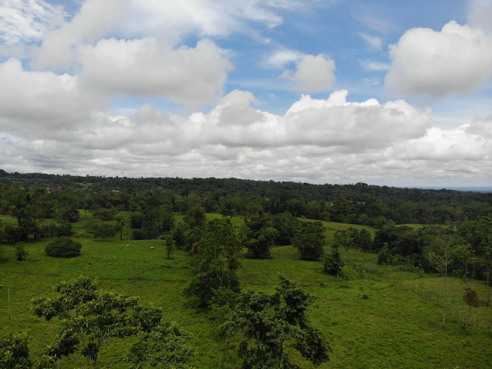 Finca en Río Cuarto Alajuela
