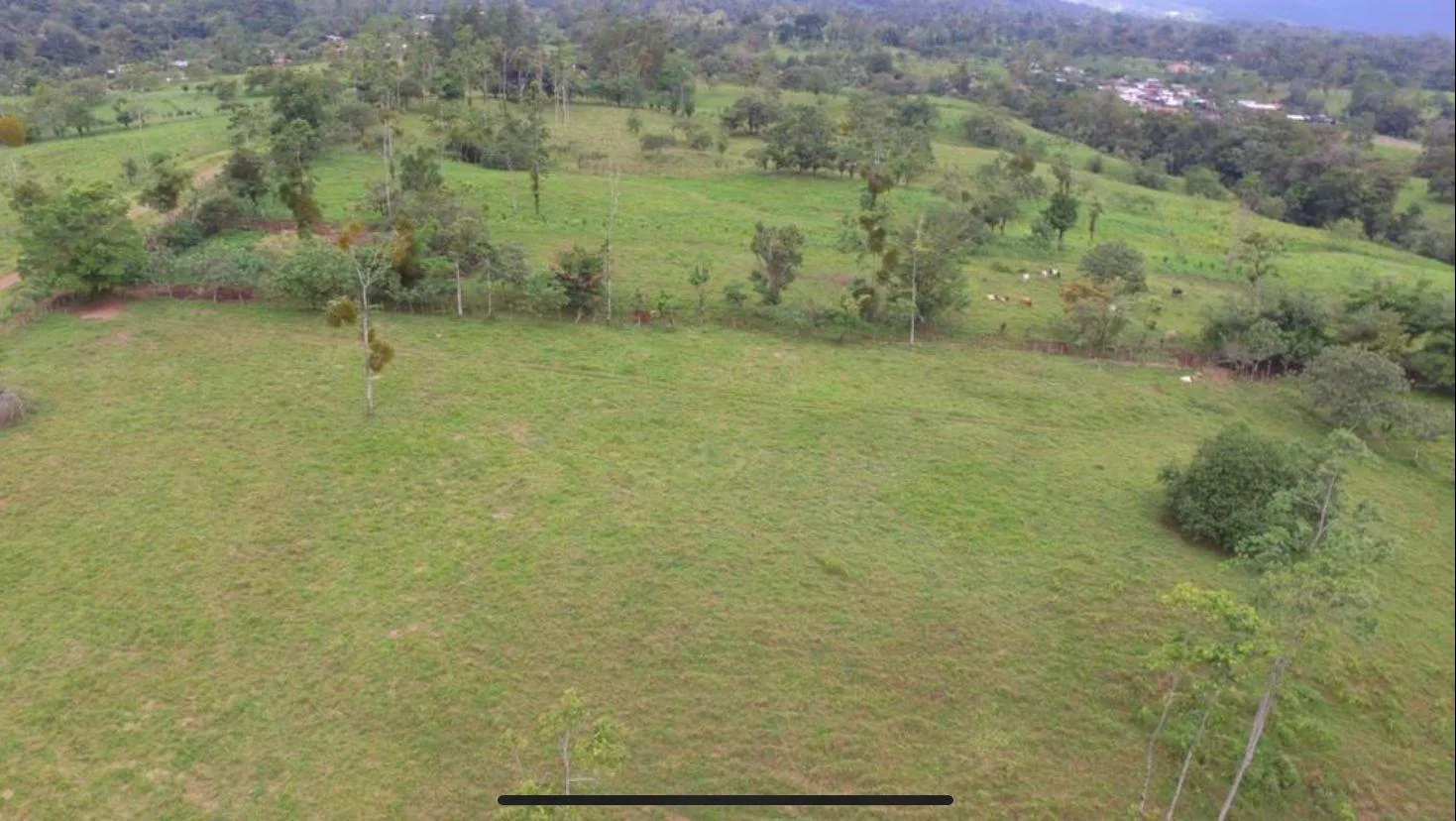 Finca en Río Cuarto Alajuela