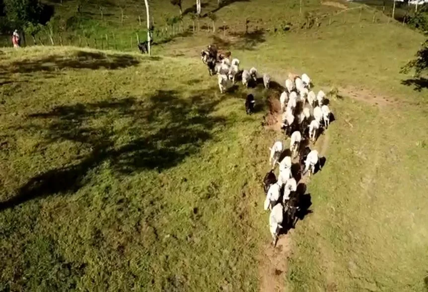 Finca en Venado San Carlos
