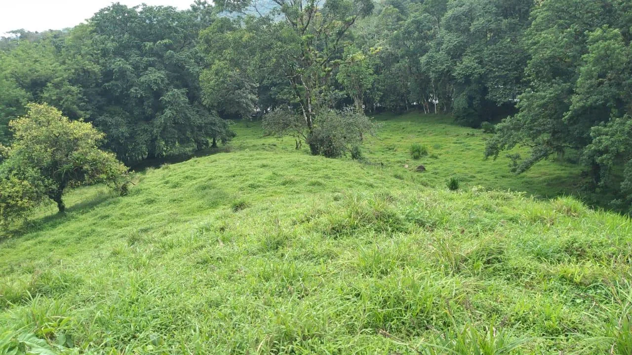 Finca en Venado San Carlos