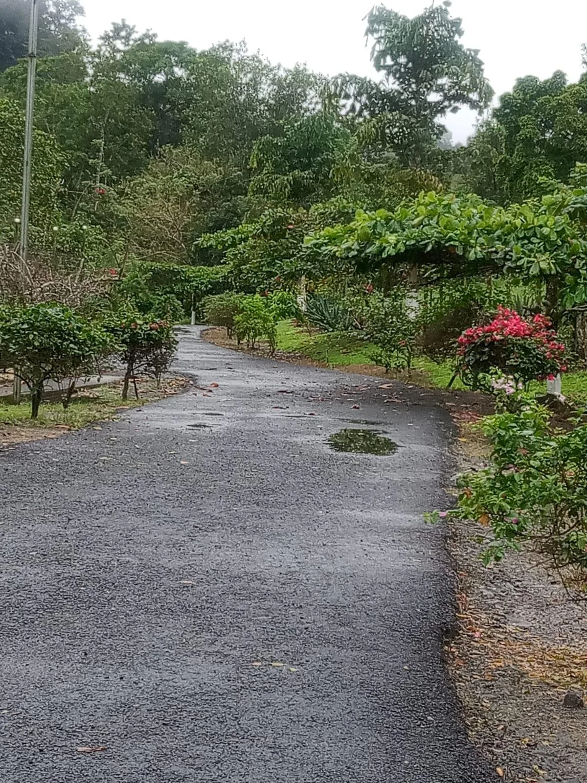 Finca en Venado San Carlos