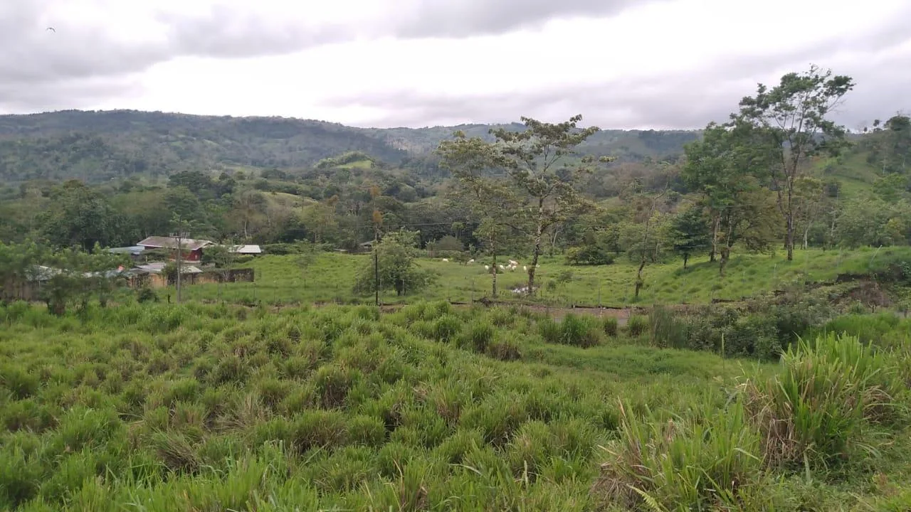 Finca en Venado San Carlos