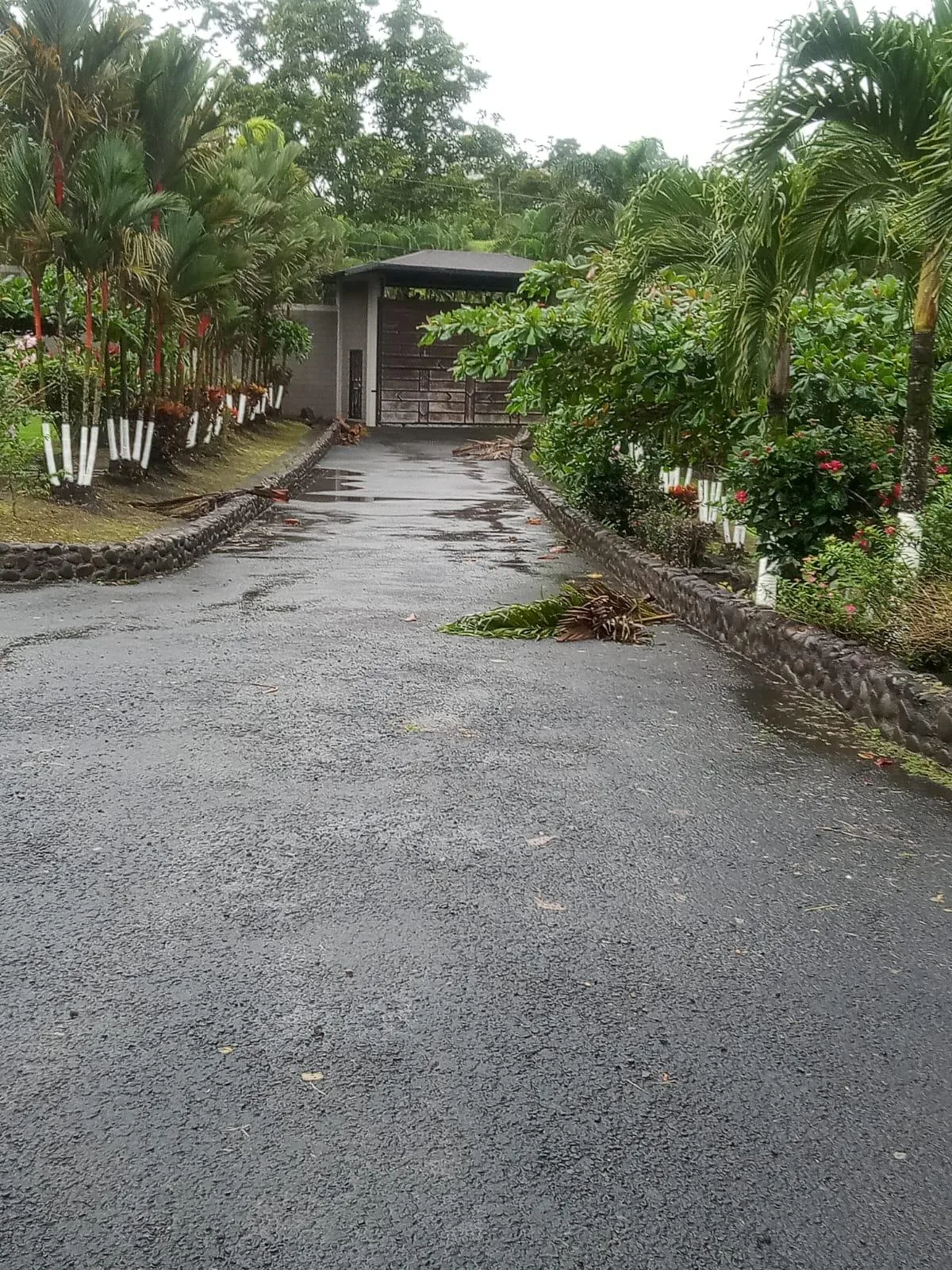 Finca en Venado San Carlos