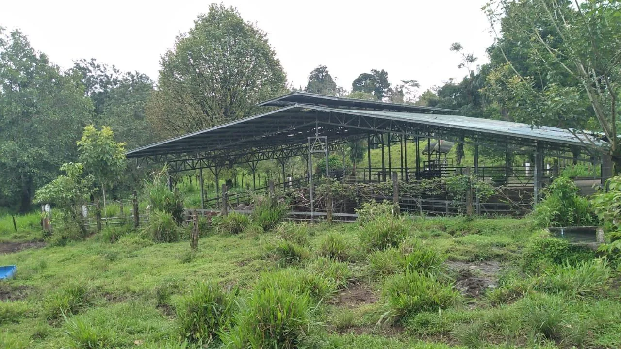 Finca en Venado San Carlos