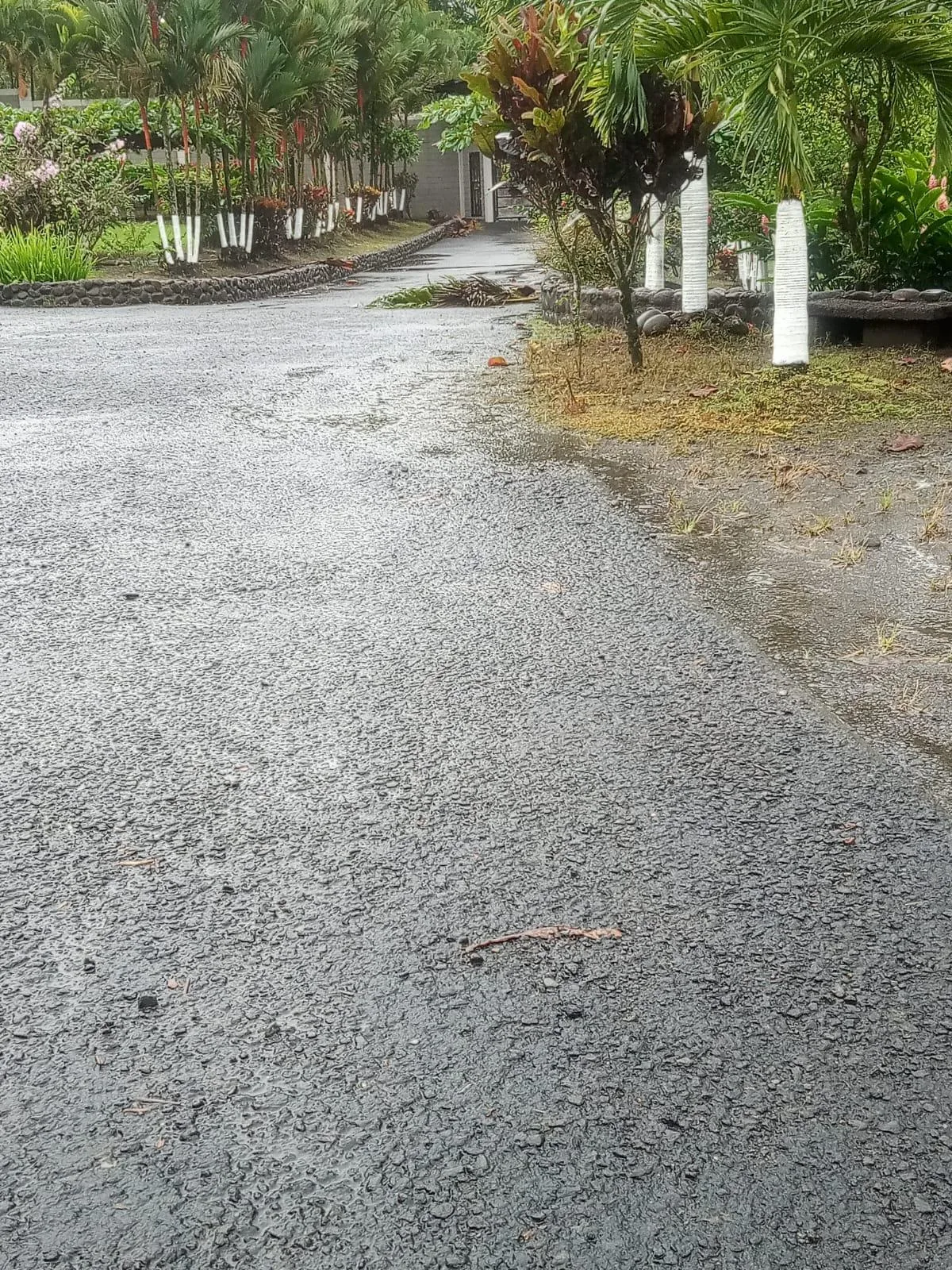 Finca en Venado San Carlos